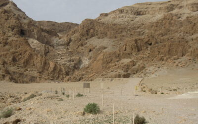 The Desert: A Place of Divine Encounter