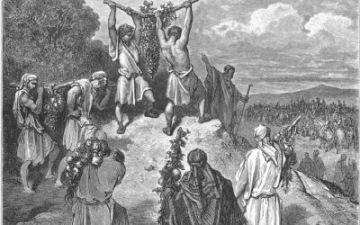 Finding Hope in the Face of Fear: Lessons from Sh’lach Lecha (Numbers 13)