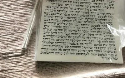 Reading the Present Through the Lens of the Past